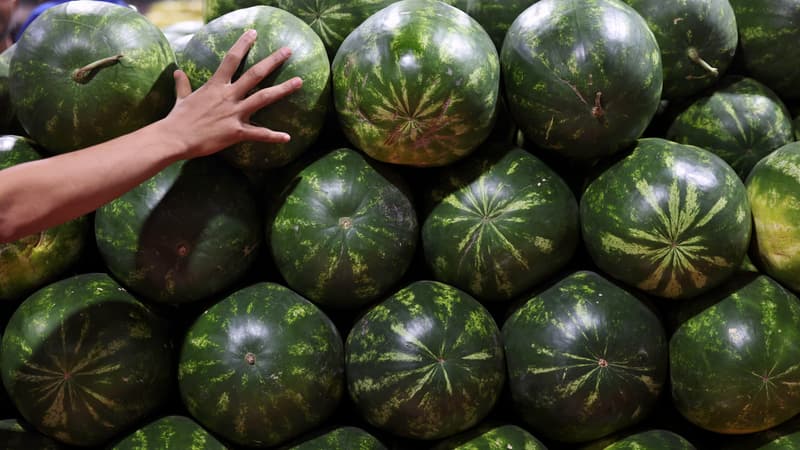 Des pastèques en vente sur un marché de Dubaï le 21 mars 2023. (Photo d'archive)