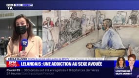 Les gendarmes ont retrouvé dans l'ordinateur de Nordahl Lelandais des montages photo pornographiques