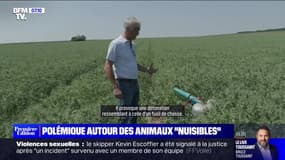 Polémique autour des animaux "nuisibles" - 14/06