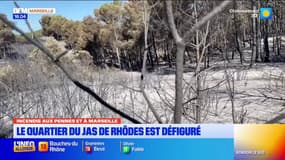 Aux Pennes-Mirabeau, le quartier du Jas de Rhôdes est défiguré