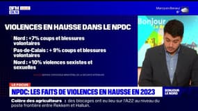 Nord-Pas-de-Calais: les faits de violences en hausse en 2023