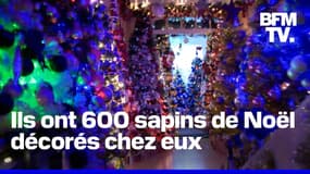Ce couple d'Allemands décore sa maison avec 600 arbres de Noël et bat un record 
