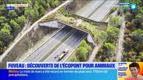 Fuveau : des jeunes découvrent l'écopont mis en place pour les animaux