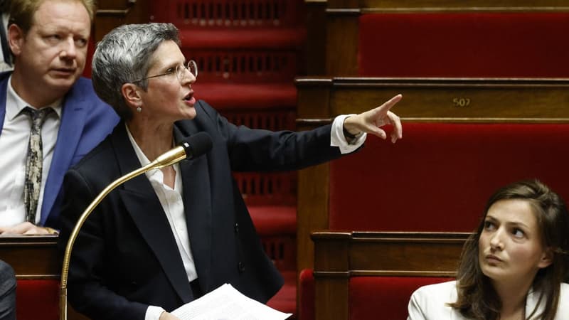 Reprise des débats à Assemblée nationale: première prise de parole tendue pour Sandrine Rousseau