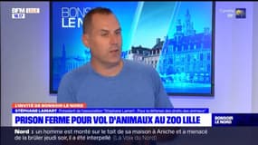 "La Belgique est une plaque tournante du trafic d'animaux", selon Stéphane Lamart, président de l'association Pour la défense des droits des animaux