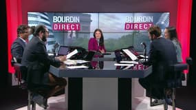 La charentaise bientôt protégée par une indication géographique?