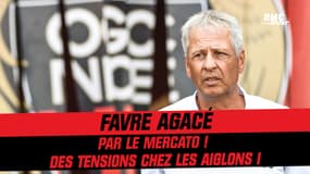 Nice : Favre agacé par le mercato, des tensions chez les Aiglons