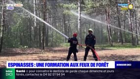 Espinasses: une formation aux feux de forêt pour les pompiers volontaires