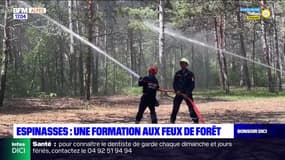 Espinasses: une formation aux feux de forêt pour les pompiers volontaires