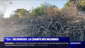 Sécheresse: la crainte des incendies