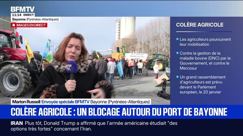 Le port de Bayonne bloqué par des syndicats agricoles, dont la Confédération Paysanne, ELB et MODEF