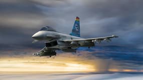 L'Eurofighter devrait rester en service dans l'armée de l'air allemande jusqu'aux années 2060 avant le SCAF, dont l'entrée en service est prévue à partir de 2040.