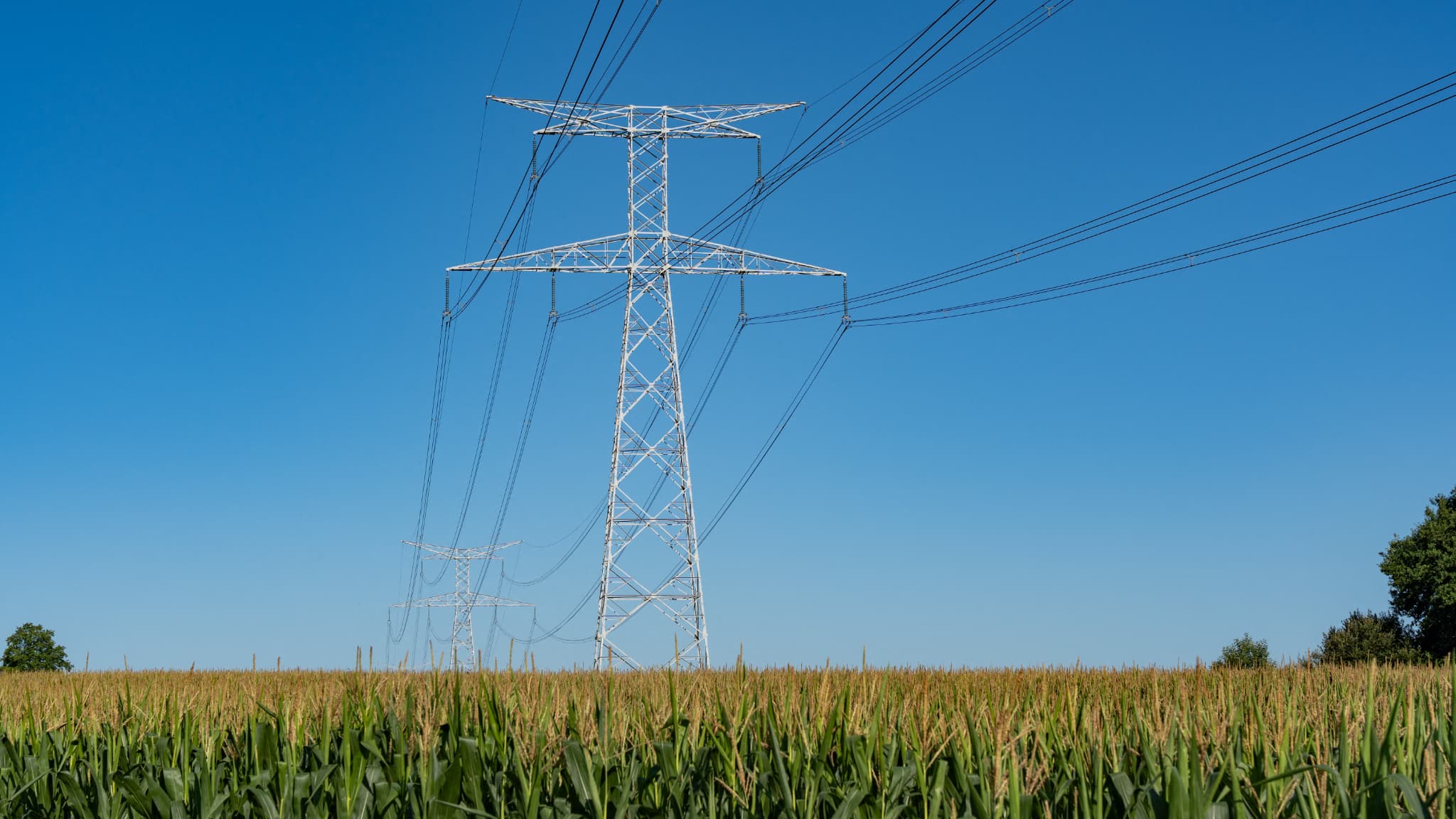 ELLES ÉTAIENT LÀ DEPUIS 55 ANS: LA ROCHELLE DIT ADIEU À SES LIGNES ÉLECTRIQUES AÉRIENNES