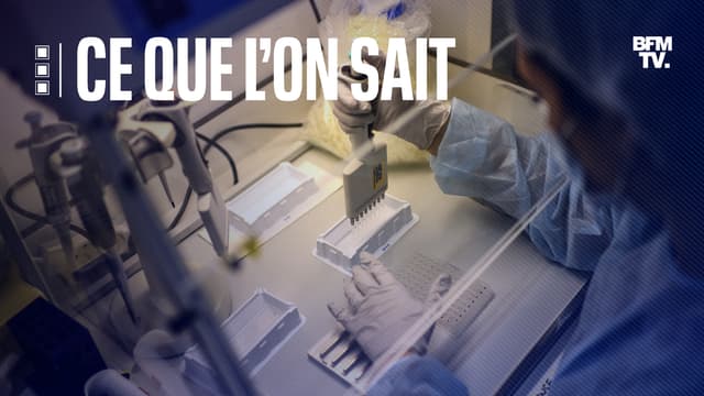 Le variant congolais a été repéré pour la première fois en septembre.