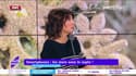 On n'arrête pas le progrès : Smartphones, les stars sous le sapin ! - 20/12