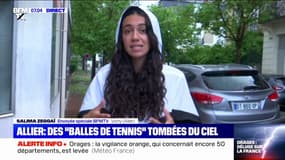 Dans l'Allier, des grêlons aussi gros que des balles de tennis sont tombés du ciel