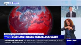 La planète a connu le début de mois de juin "le plus chaud jamais enregistré"