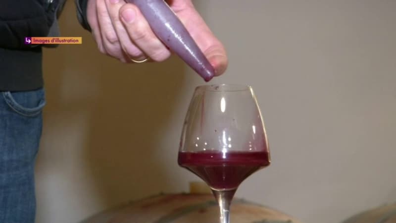 Accord Inde/UE : les viticulteurs se frottent les mains