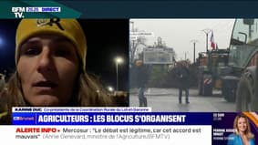 Karine Duc (Coordination Rurale du Lot-et-Garonne):"Nous sommes sur le port de Bordeaux qui est entièrement bloqué pour dénoncer les importations de céréales à outrance"