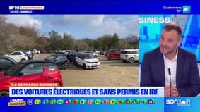 Île-de-France Business: Des voitures électriques et sans permis en IDF - 15/10