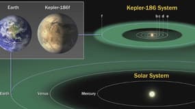 Une comparaison par l'image du système Kepler-186 et de notre système solaire.