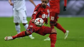 Bellarabi