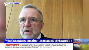 "Un encouragement à la consommation": Étienne Blanc, sénateur LR, réagit au rapport qui préconise la légalisation du cannabis et la dépénalisation de la détention de cocaïne