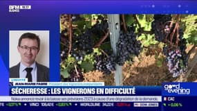 Sécheresse, les vignerons en difficulté - 14/07