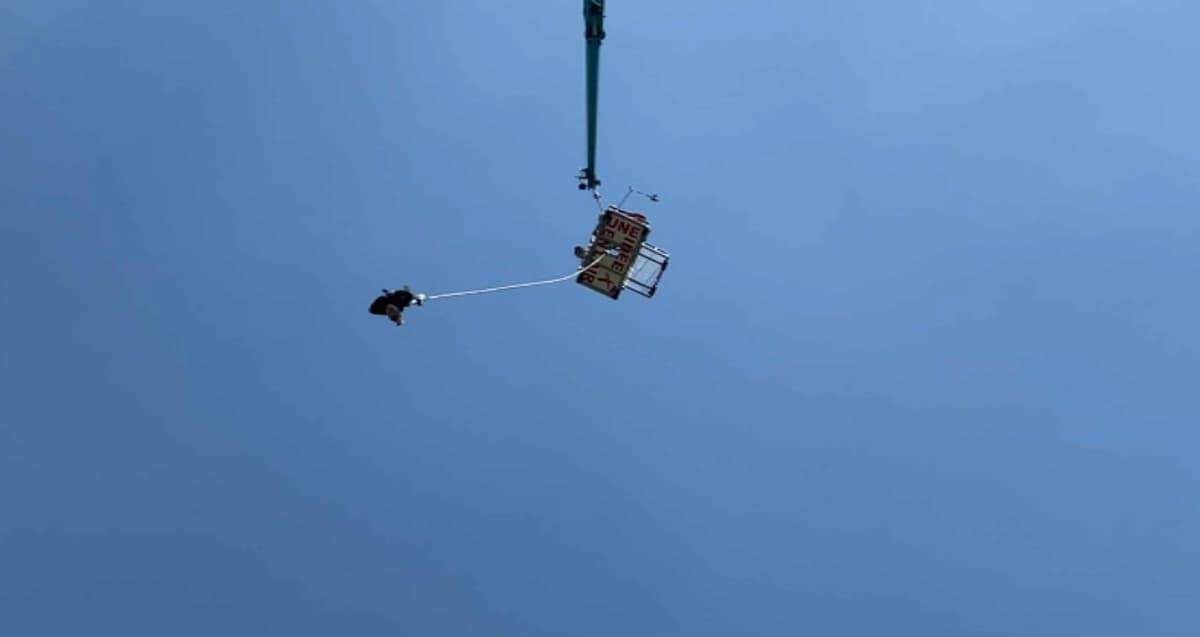 placeholder video