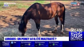 Var: un poney a-t-il été maltraité à Lorgues?