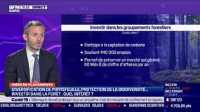 Idée de placements: Comment procéder pour investir dans un groupement forestier ? - 22/03