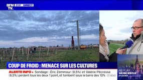 Éolienne anti-gel: la technique des vignerons pour contrer la vague de froid