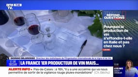 Pourquoi la production de vin s'effondre-t-elle en Italie et pas en France? BFMTV répond à vos questions