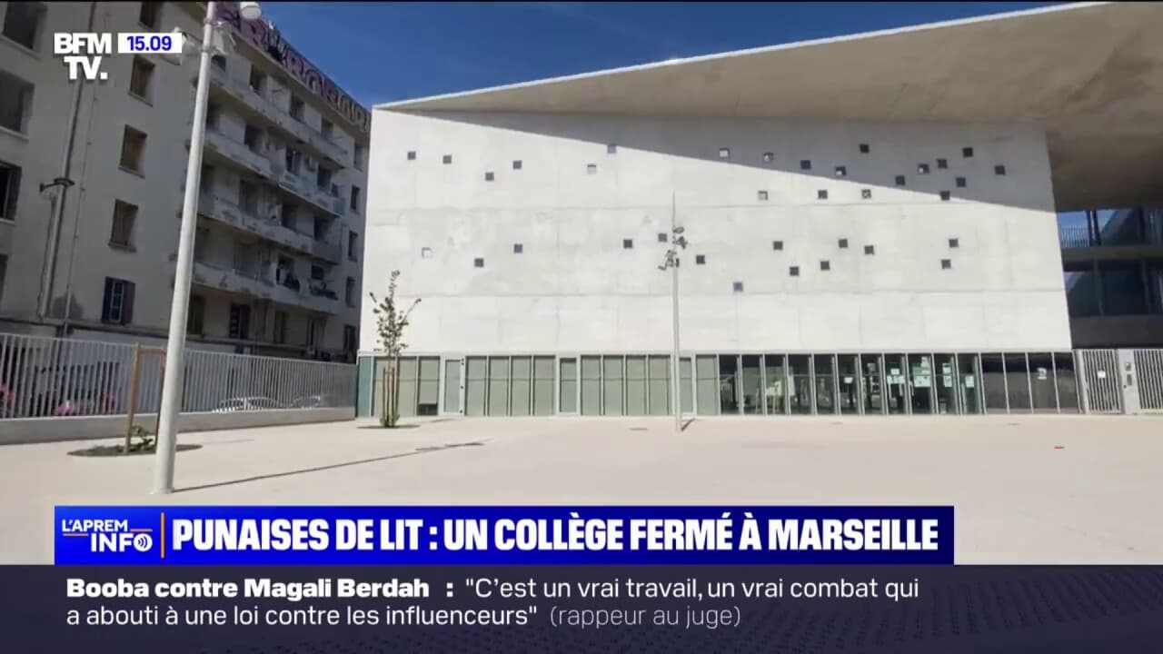 Marseille : des étudiants inventent un piège pour éliminer définitivement  les punaises de lit