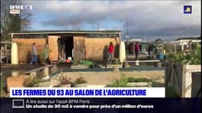 Pour la première fois en 57 éditions, la Seine-Saint-Denis sera représentée au salon de l'Agriculture