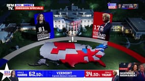 Élections américaines: Donald Trump conserve son avance avec 172 grands électeurs, contre 81 pour Kamala Harris