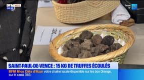 Saint-Paul-de-Vence : 15 kg de truffes écoulés