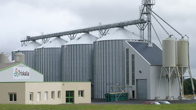 La coopérative Triskalia compte de nombreuses marques, dont Mamie Nova, Régilait, Paysan Breton ou Prince de Bretagne.