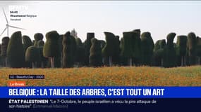 Le break du mardi 23 septembre
