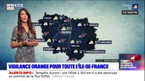 Météo Paris-Île-de-France: un temps moins venteux dans l'après-midi avec des températures plus fraîches