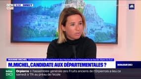 Départementales: la vice-présidente des Hautes-Alpes veut maintenir les élections en juin, "une bonne manière de dire que la vie continue"  