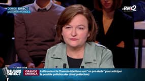 Européennes: la ministre Nathalie Loiseau devrait démissionner lundi pour mener la liste LREM
