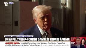 "Un appel très important": Donald Trump et Vladimir Poutine vont s'entretenir ce mardi sur la guerre en Ukraine