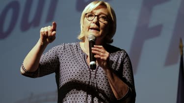 Marine Le Pen lors d'un rassemblement de militants du Front national à Brugieres, le 23 septembre 2017