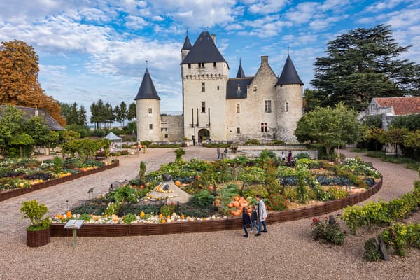 Des ateliers de sculpture de citrouilles sont organisés au château du Rivau du 17 octobre au 1er novembre