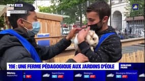 Paris: une ferme pédagogique dans le 19ème arrondissement