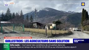 Intempéries dans les Hautes-Alpes: les agriculteurs du Guillestrois sans solution
