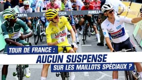 Tour de France : "Le rêve s'est envolé" malgré un tracé alléchant, le suspense déjà tué ?