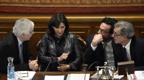 Anne Hidalgo pendant le vote du projet de la tour Triangle, le 17 novembre 2014