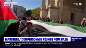 Marseille: 1300 personnes réunies pour demander un "cessez-le-feu immédiat à Gaza"